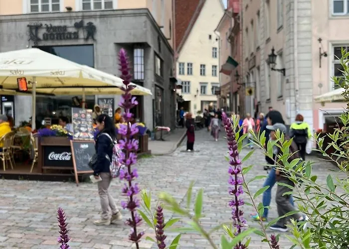 公寓 Luxury 2bd In The Heart Of Medieval Old Town