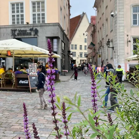 公寓 Luxury 2bd In The Heart Of Medieval Old Town